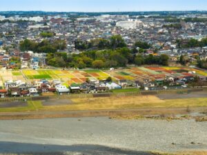 羽村市の街並み
